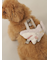 【CAT&DOG】シャークモチーフ保冷剤入れリュック