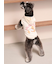 【CAT&DOG】スポーティーベア裏毛プルオーバー