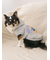 【CAT&DOG】スポーティーベア裏毛プルオーバー
