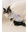【CAT&DOG】スポーティーベア裏毛プルオーバー