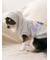 【CAT&DOG】スポーティーベア裏毛プルオーバー