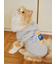【CAT&DOG】スポーティーベア裏毛プルオーバー