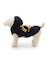 【CAT&DOG】スポーティーベア裏毛プルオーバー