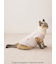 【ドラえもん】【CAT&DOG】総柄プルオーバー