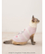 【ドラえもん】【CAT&DOG】ジャガードプルオーバー
