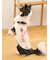 【CAT&DOG】スポーティーベア柄カットソープルオーバー