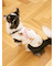 【CAT&DOG】スポーティーベア柄カットソープルオーバー