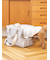 【CAT&DOG】ミニサイズキャリーバッグ