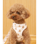 【CAT&DOG】背中あきハーネス