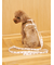 【CAT&DOG】背中あきハーネス
