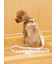【CAT&DOG】背中あきハーネス