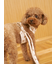 【CAT&DOG】背中あきハーネス