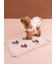 【CAT&DOG】オータムケーキ柄プルオーバー
