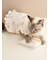 【CAT&DOG】オータムケーキ柄プルオーバー