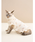 【CAT&DOG】オータムケーキ柄プルオーバー