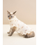 【CAT&DOG】オータムケーキ柄プルオーバー