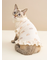 【CAT&DOG】オータムケーキ柄プルオーバー
