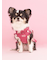 【CAT&DOG】オータムケーキ柄プルオーバー