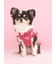 【CAT&DOG】オータムケーキ柄プルオーバー