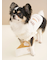 【CAT&DOG】チーズケーキトイ