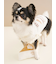 【CAT&DOG】チーズケーキトイ