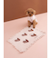 【CAT&DOG】オータムケーキジャガードブランケット