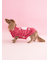 【CAT&DOG】オータムケーキジャガードプルオーバー