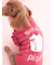 【CAT&DOG】オータムケーキジャガードプルオーバー