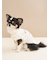 【CAT&DOG】オータムケーキジャガードプルオーバー