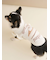【CAT&DOG】オータムケーキジャガードプルオーバー