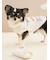 【CAT&DOG】オータムケーキジャガードプルオーバー