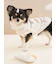 【CAT&DOG】オータムケーキジャガードプルオーバー