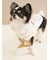 【CAT&DOG】オータムケーキジャガードプルオーバー
