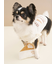 【CAT&DOG】オータムケーキジャガードプルオーバー