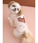 【CAT&DOG】オータムケーキジャガードプルオーバー