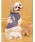 【CAT&DOG】ベアトイ