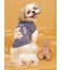 【CAT&DOG】ベアトイ