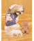 【CAT&DOG】ベアトイ