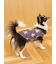 【CAT&DOG】ベア柄プルオーバー
