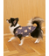 【CAT&DOG】ベア柄プルオーバー