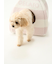 【CAT&DOG】【販路限定商品】ベビモコハウス