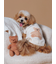 【CAT&DOG】ベアジャガードプルオーバー