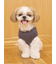 【CAT&DOG】ベアジャガードプルオーバー