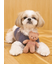 【CAT&DOG】ベアジャガードプルオーバー