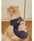 【CAT&DOG】ベアジャガードプルオーバー