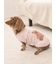 【CAT&DOG】ベアジャガードプルオーバー