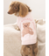 【CAT&DOG】ベアジャガードプルオーバー