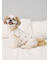 【CAT&DOG】シーズー柄プルオーバー