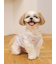 【CAT&DOG】シーズー柄プルオーバー