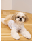 【CAT&DOG】シーズー柄プルオーバー